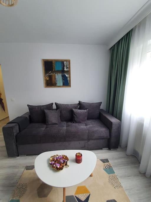 Apartament Ama Sibiu Exterior foto