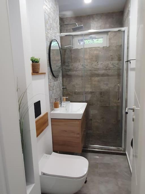 Apartament Ama Sibiu Exterior foto