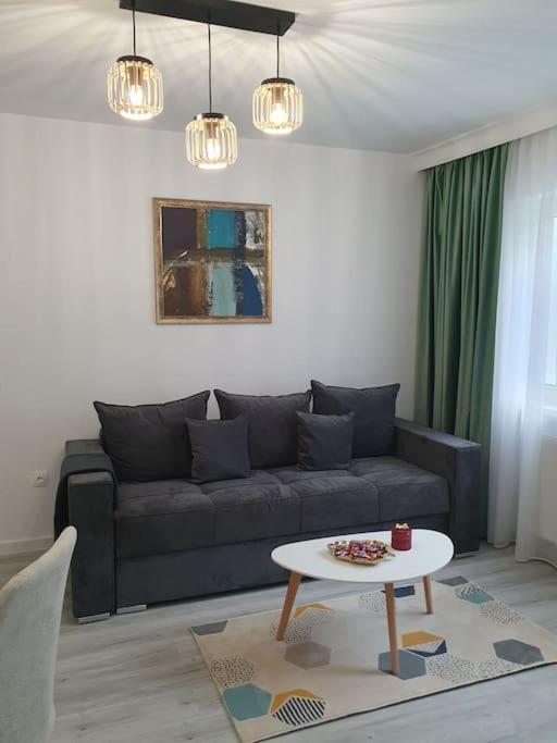 Apartament Ama Sibiu Exterior foto
